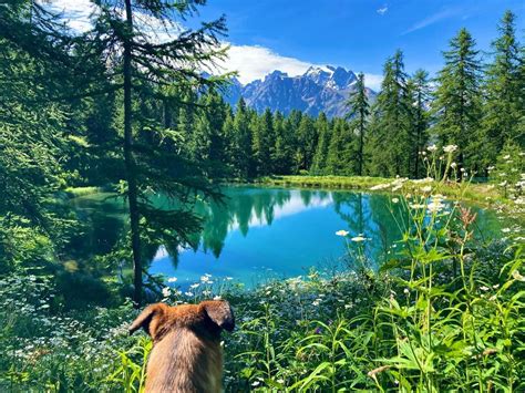 lac des hermes|Tête d'Oréac .